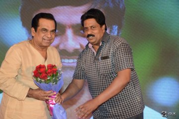 Speedunnodu Movie Platinum Disc Function